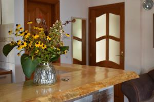 Fotografie z fotogalerie ubytování Apartments Villa Serventi v destinaci Tivat