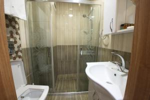 a bathroom with a shower and a sink and a toilet at Istanbul Sirkeci Hotel in Istanbul