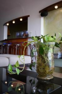 Fotografie z fotogalerie ubytování Dolichi View v destinaci Pythagorion