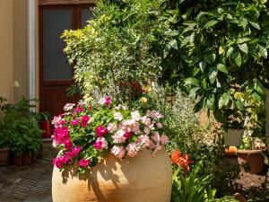 Φωτογραφία από το άλμπουμ του La Torretta Domus σε Quartu SantʼElena