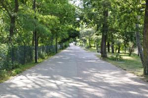Príroda v okolí apartmánu