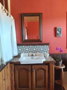 La salle de bains est pourvue d'un lavabo et d'un miroir. dans l'établissement La chambre d'hôte du Petit Mazilloux, à Présailles