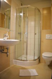 a bathroom with a shower and a sink and a toilet at Willa Halka in Zakopane