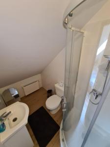 Łazienka w obiekcie Apartamenty Trzciana