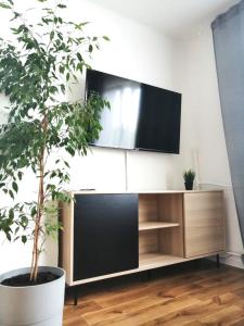 TV de pantalla plana en la pared de una sala de estar con una planta en Bezpieczna Przystań - Apartamenty en Uherce Mineralne
