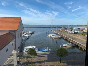 eine Gruppe von Booten, die in einem Yachthafen angedockt sind in der Unterkunft Windrose in Barth