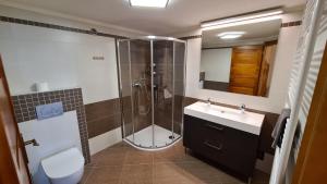 a bathroom with a shower and a sink and a toilet at Apartmány Turold Mikulov in Mikulov