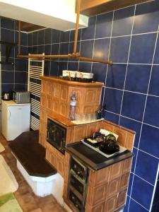 Kuchyň nebo kuchyňský kout v ubytování Ubytování v soukromí rodinné vily v Děčíně