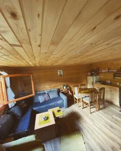 Vila Helena في Colići: غرفة معيشة مع أريكة زرقاء وسقف خشبي