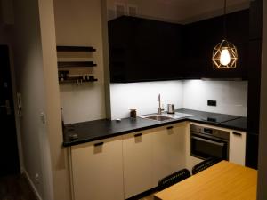 Kuchyň nebo kuchyňský kout v ubytování Narutowicza Residence