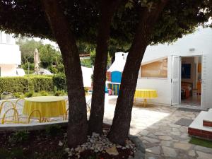 Galeriebild der Unterkunft Punta Skala Nena apartman in Petrcane