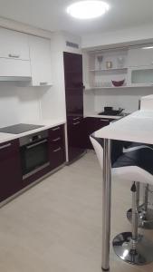 Kuchyňa alebo kuchynka v ubytovaní Orhidea Szuterén Apartman