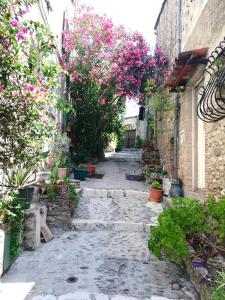 un vicolo con fiori e piante rosa di La Plenitude a Cagnes-sur-Mer