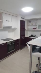 Kuchyňa alebo kuchynka v ubytovaní Orhidea Szuterén Apartman