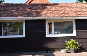 ein schwarzes Haus mit zwei Fenstern und zwei Topfpflanzen in der Unterkunft Ferienhaus Grafenland in Dersum
