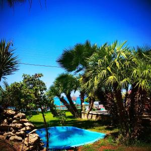 a swimming pool with palm trees and a blue sky at Vrachos Holidays Hotel in Paralia Vrachou