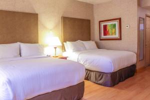 Postel nebo postele na pokoji v ubytování Holiday Inn Express Chihuahua by IHG