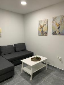 Posedenie v ubytovaní Apartamento centrico en Puerto del Rosario