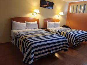 Habitación de hotel con 2 camas con sábanas a rayas en Hotel Florencia Regency en Morelia
