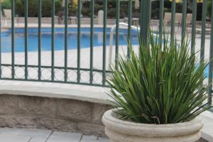 Bazén v ubytování Holiday Inn Express Chihuahua by IHG nebo v jeho okolí