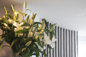 Fotografija v galeriji nastanitve White Hotel v mestu Vieste