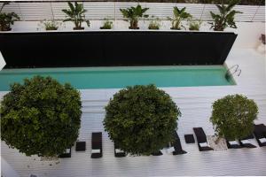 Bazen v nastanitvi oz. blizu nastanitve White Hotel
