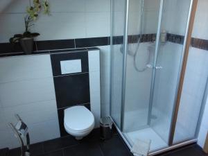 a bathroom with a toilet and a shower at ferienwohnung mertens in Westerstede