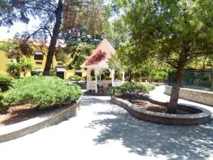 Holiday Inn Express Chihuahua, an IHG Hotel في تشيواوا: شرفة في حديقة مع شجرة