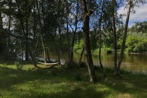 Příroda nedaleko kempu
