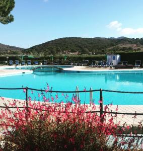 Photo de la galerie de l'établissement Aviotel Residence, à Marina di Campo