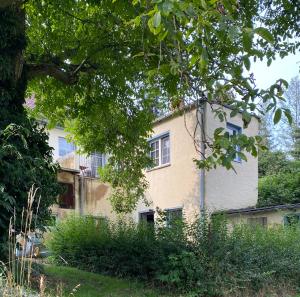 an old building is shown behind a tree at Ferienwohnung Sonntag, Elsteraue in Elsteraue