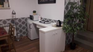 Fotografia z galérie ubytovania Apartament Villa Magnolia v Osvienčime + 4 fotografie