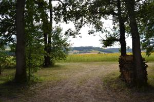 Afbeelding uit fotogalerij van Mobile home des pins in Châtignac +15 foto's