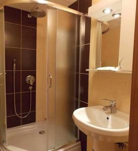 W łazience znajduje się prysznic i umywalka. w obiekcie Guesthouse Vila DND w mieście Niška Banja