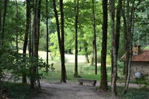 Afbeelding uit fotogalerij van Mobile home des pins in Châtignac