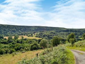 a dirt road in the hills with trees at Ty-Gwyn in Abergavenny +5 photos