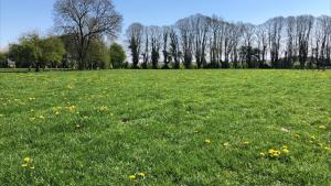 Zahrada ubytování Au gré des saisons
