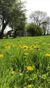 Zahrada ubytování Au gré des saisons