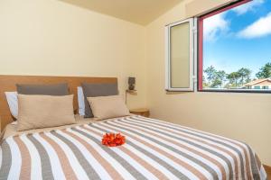 Fotografie z fotogalerie ubytování Quinta Frizado v destinaci Prazeres