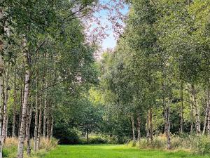 Gallery image of 6 person holiday home in Aars in Års