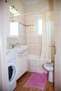 ein Badezimmer mit einem Waschbecken und einer Waschmaschine in der Unterkunft Maria Apartments in Lefkada Town