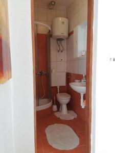 a small bathroom with a toilet and a sink at Apartment Krmpotić in Vir