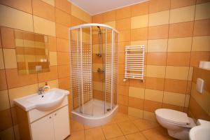 a bathroom with a shower and a sink and a toilet at Noclegi Cristal in Malbork