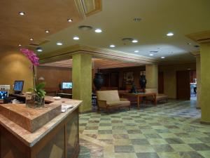 Majoituspaikan Hotel Pamplona Villava aula tai vastaanotto