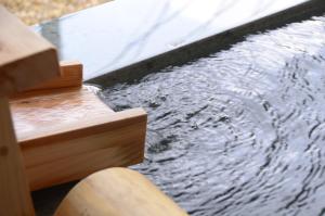 a close up of a pool of water at Hakone Kowakien Mikawaya Ryokan in Hakone