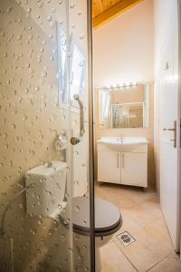 Villa Kalokairi في Áfra: حمام مع دش ومرحاض ومغسلة