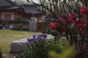 Mirinae Hanok Tradiational House外面的花园