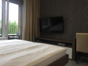 TV a/nebo společenská místnost v ubytování Rovná 7 Apartment