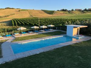 a swimming pool with chairs and umbrellas next to a vineyard at Country House Andromeda in Offida