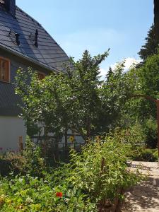 a garden in front of a house with trees and flowers at Ökologische Ferienwohnung Becker in Kottmar